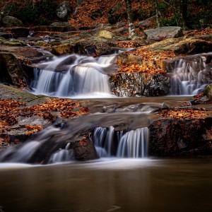 MONTSENY  DE COLORS  11-2020-1921